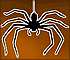 Spider Maze