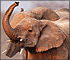 Jigsaw Puzzle: Elephant