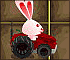 Bunny on Farm