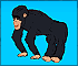 Jumping Chimp