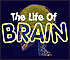 The Life of Brain