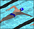 Swimming Race