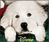 Hidden Objects: Santa Paws