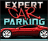 Expert Car Parking