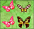 Butterfly Match