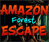 Amazon Forest Escape