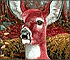 Puzzle: Alone Deer Waiting in the Forest