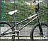 Jigsaw: BMX Bike