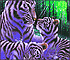 Puzzle: Blue Tigers In The Woods