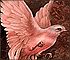 Puzzle: Sweet Pink Dove