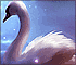 Puzzle: Swan In The River