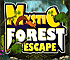 Mystic Forest Escape